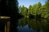 DSC_3222.jpg