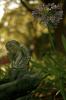 DSC_3681.jpg
